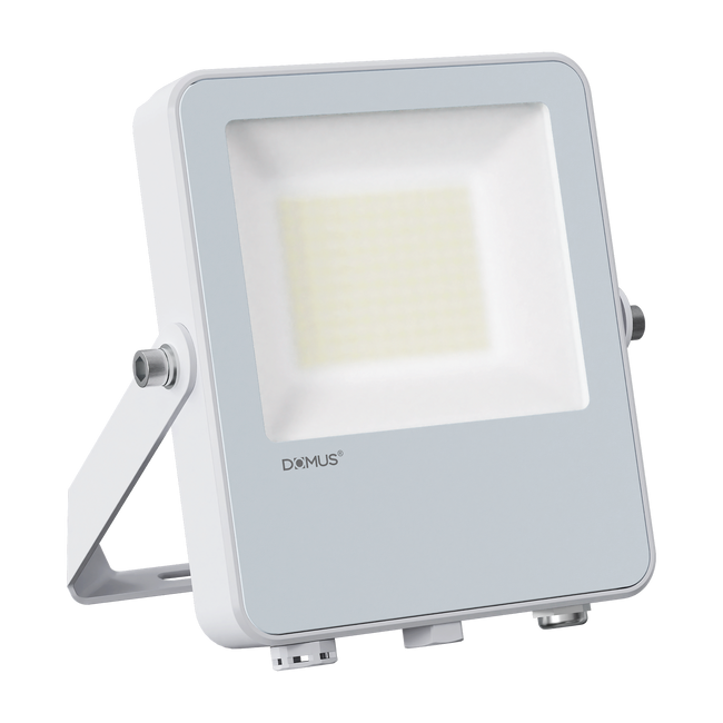 Domus Lighting Blaze Pro 20/30/50W LED Floodlight