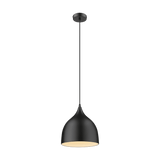 Domus Lighting Jade 220mm Shade Pendant