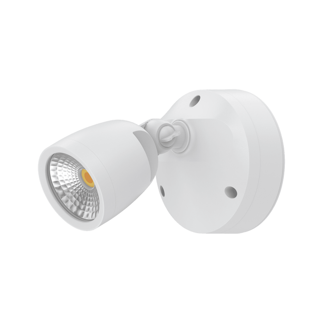 Domus Lighting Muro Eco 10W Spotlight
