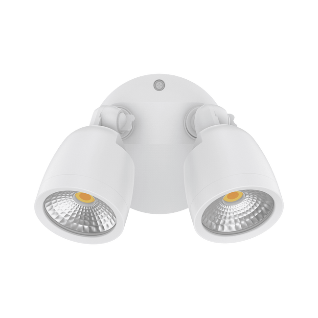 Domus Lighting Muro Eco 20W Spotlight