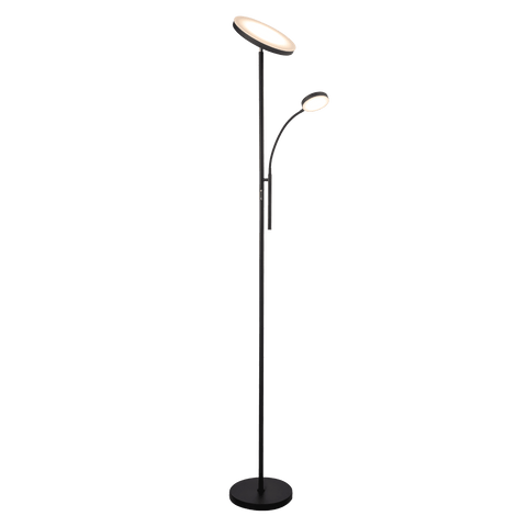 Domus Lighting Samson Floor Lamp