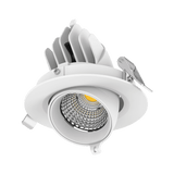 Domus Lighting Scoop 13W Round Downlight