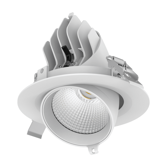 Domus Lighting Scoop 25W Round Downlight DALI