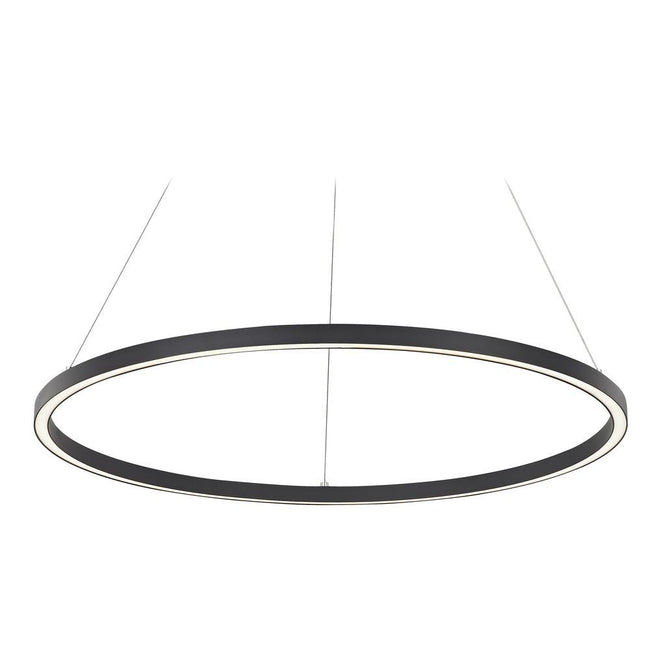 Architectural LED Single Ring Pendant Light 120cm