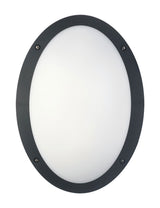 CLA Lighting LED Bulkhead 12W Oval Light in Black and White 