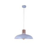 CLA Lighting Pastel Dome Shaped Pendant 