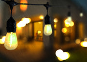 LED Solar Festoon Lights
