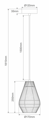 CARTER-PDT SMALL PAPER ROPE 1XE27 PNDT