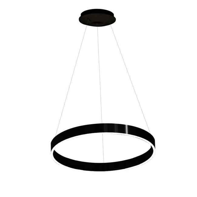 Architectural LED Single Ring Pendant Light 100cm